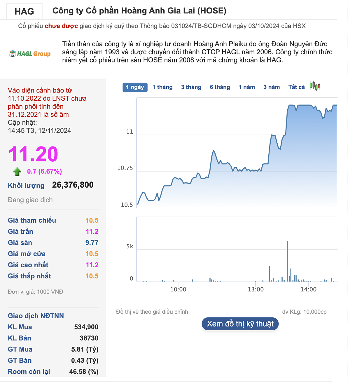 Cổ phiếu HAG bất ngờ tăng trần trong phiên 12/11.