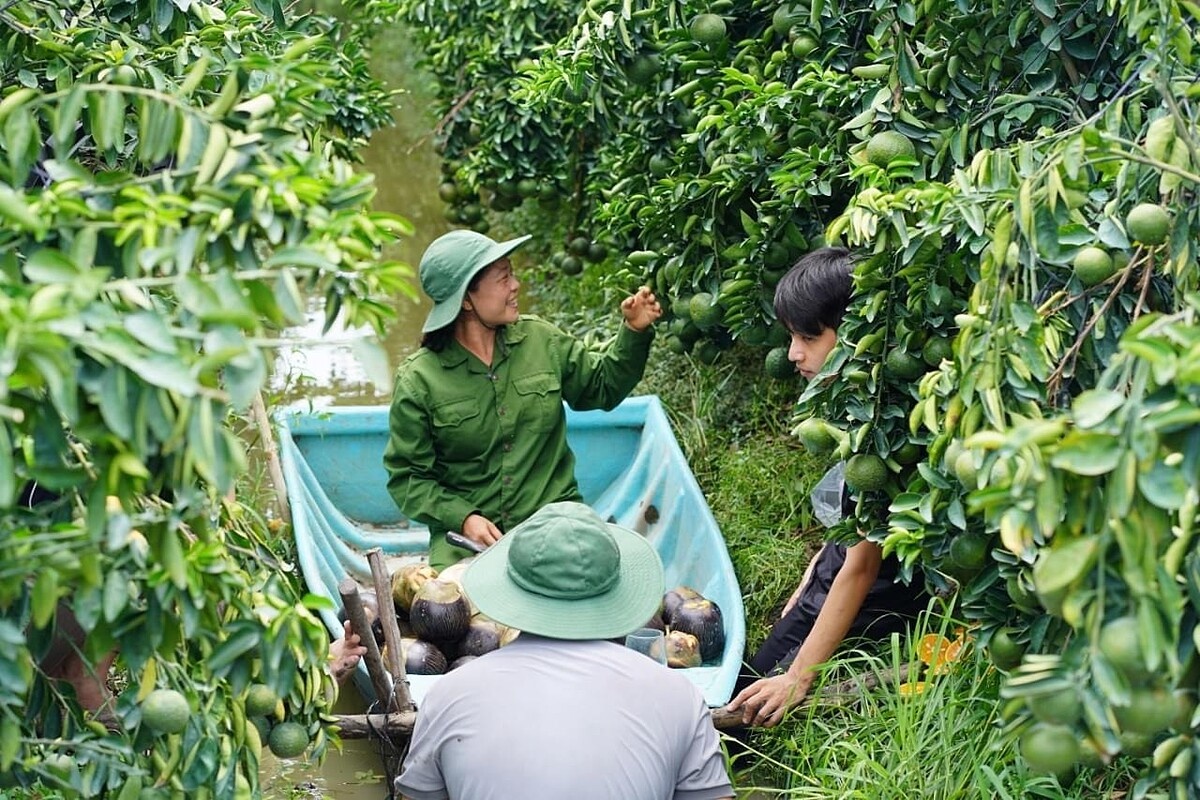 Người đứng đầu HTX cần linh hoạt, biết nắm bắt cơ hội để đưa HTX phát triển hiệu quả.