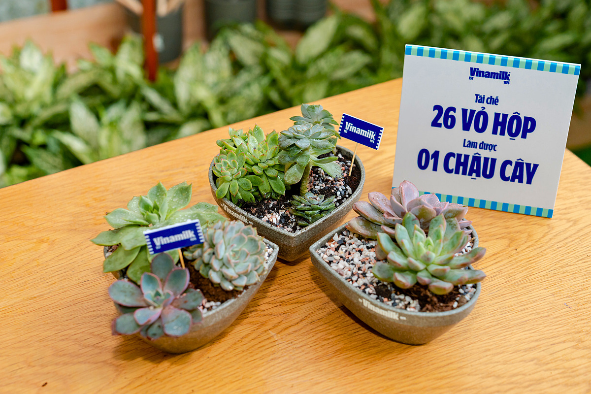 Là một trong những khách hàng đặc biệt khi mang đến gần 400 vỏ hộp thức uống, Lê Thị Ngọc Bình, sinh viên trường Đại học Quốc tế Hồng Bàng &lpar;TP.HCM&rpar;, chia sẻ lý do khác khi đến tham gia hoạt động: “Mình hi vọng rằng hành trình tái sinh của vỏ hộp sữa sẽ được tiếp nối, để chúng trở thành những vật dụng có ích. Đến đây mình bất ngờ khi được biết chỉ cần 26 vỏ hộp đã có thể làm được một chậu cây, hay hơn 150 vỏ đã tái chế được một cuốn sổ…”