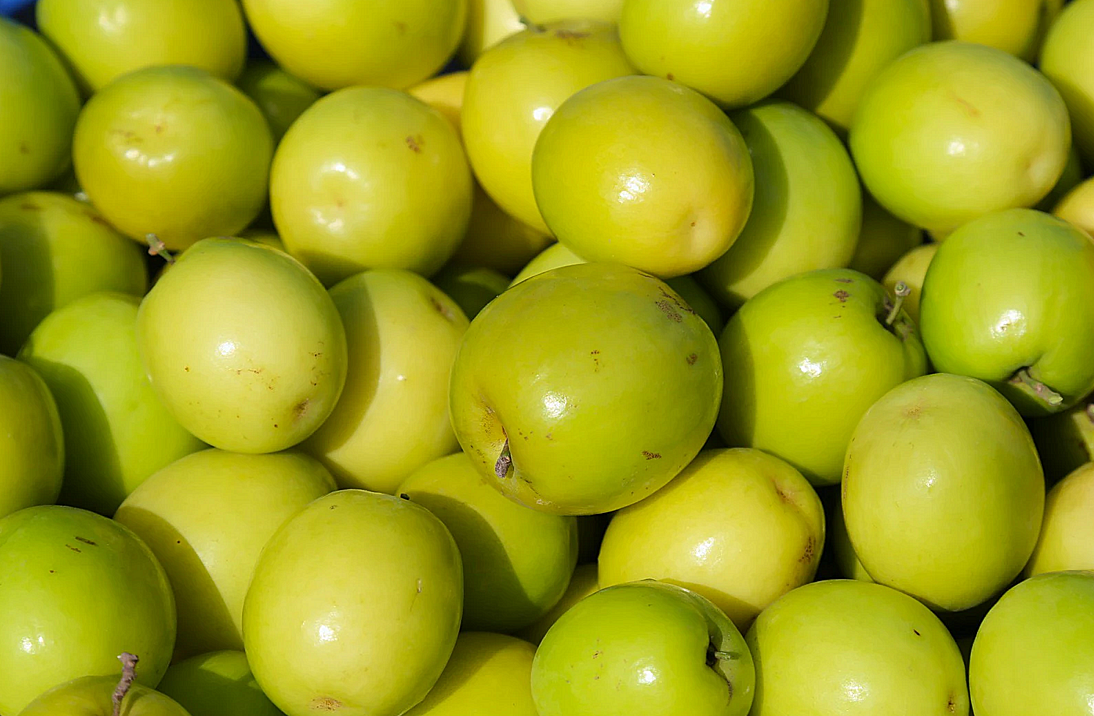 Táo muối Bàng La - đặc sản của TP Hải Phòng.