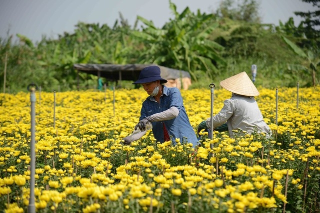 Cắt giảm thủ tục hành chính cũng là một trong những giải pháp tạo môi trường kinh doanh thuận lợi cho các HTX.