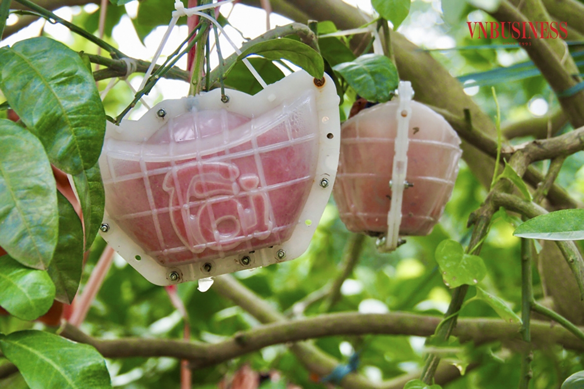 Với màu sắc độc lạ, hương vị thơm ngon, sản phẩm đã được đánh giá OCOP 4 sao, được lựa chọn tham gia trưng bày tại nhiều hội chợ xúc tiến thương mại, nhờ vậy nhiều người tiêu dùng biết đến.