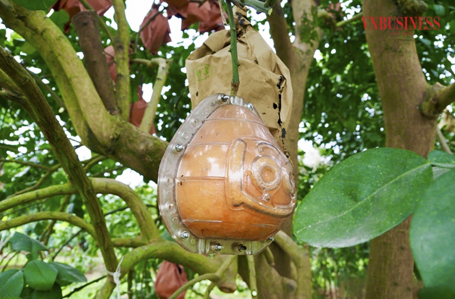 Bên cạnh việc tạo hình chữ “tài - lộc” gần đây nhiều hộ gia đình và thành viên HTX đã đa dạng mẫu mã hình thức, như tạo hình hình giọt nước, hình giọt nước, hình hồ lô... để phục vụ nhu cầu của khách hàng.