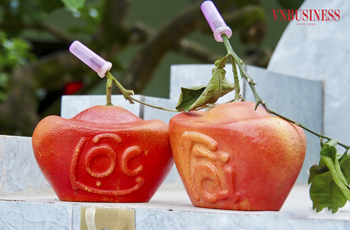 Bưởi đỏ mang ý nghĩa Tài lộc - Thịnh vượng - May mắn với màu đỏ rực thường được người tiêu dùng lựa chọn mỗi dịp Tết đến Xuân về.