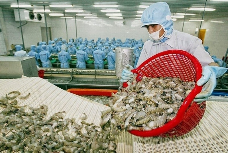 Xuất khẩu tôm sang Mỹ tăng mạnh nhưng còn đó nỗi lo