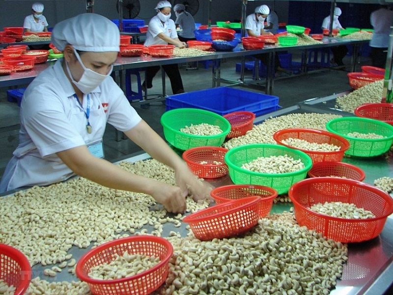 Do thiếu các tiêu chuẩn kĩ thuật quốc tế, khá nhiều nông sản Việt mới chỉ dừng lại ở xuất thô