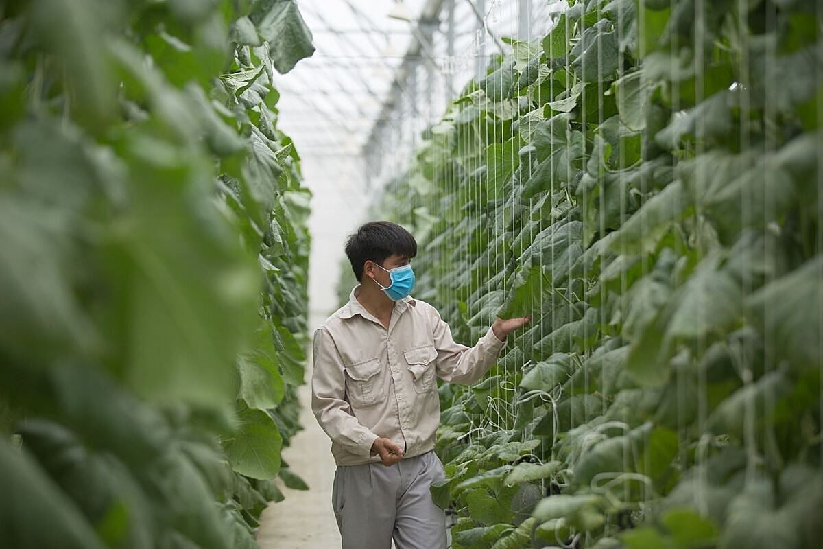 Nguồn vốn cấp cho Quỹ Hỗ trợ phát triển HTX ở địa phương còn thấp, chưa đáp ứng được nhu cầu của các HTX, nhất là khi mở rộng đối tượng vay tới thành viên HTX, thành viên tổ hợp tác.