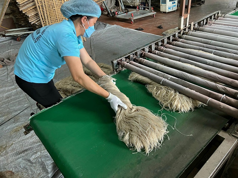Dây chuyền sản xuất miến thành phẩm tại huyện Quốc Oai.