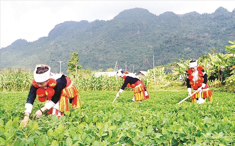 Kể từ năm 2019 đến nay, Bộ NN-PTNT chưa dự án mới nào được đàm phán, ký kết.