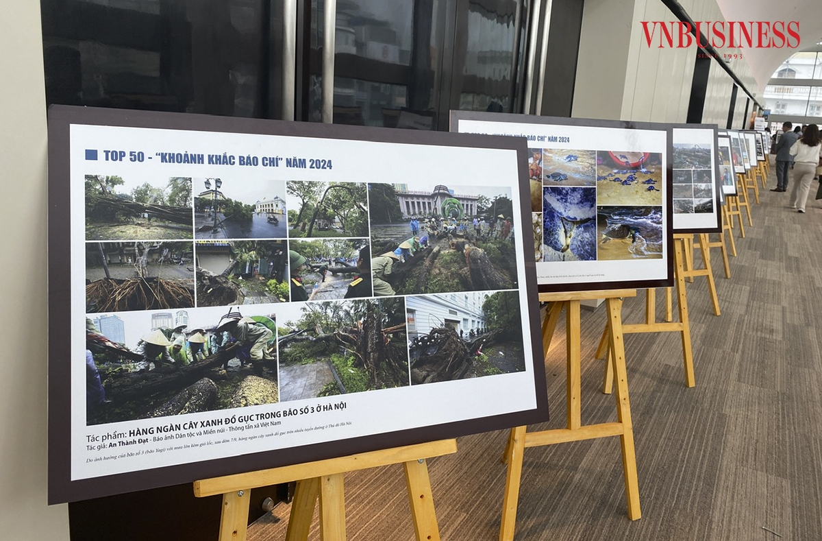 Mùa giải năm nay, BTC tiếp nhận hơn 400 tác phẩm &lpar;cả ảnh đơn và ảnh bộ&rpar; với số lượng lên tới hàng nghìn bức ảnh gửi về tham dự cuộc thi.