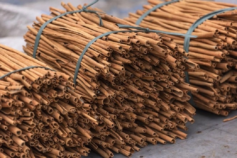 Trong tháng 11/2024 Việt Nam xuất khẩu được 10.754 tấn quế, tổng kim ngạch xuất khẩu đạt 28,8 triệu USD, so với tháng 10 lượng xuất khẩu tăng 5,8%.