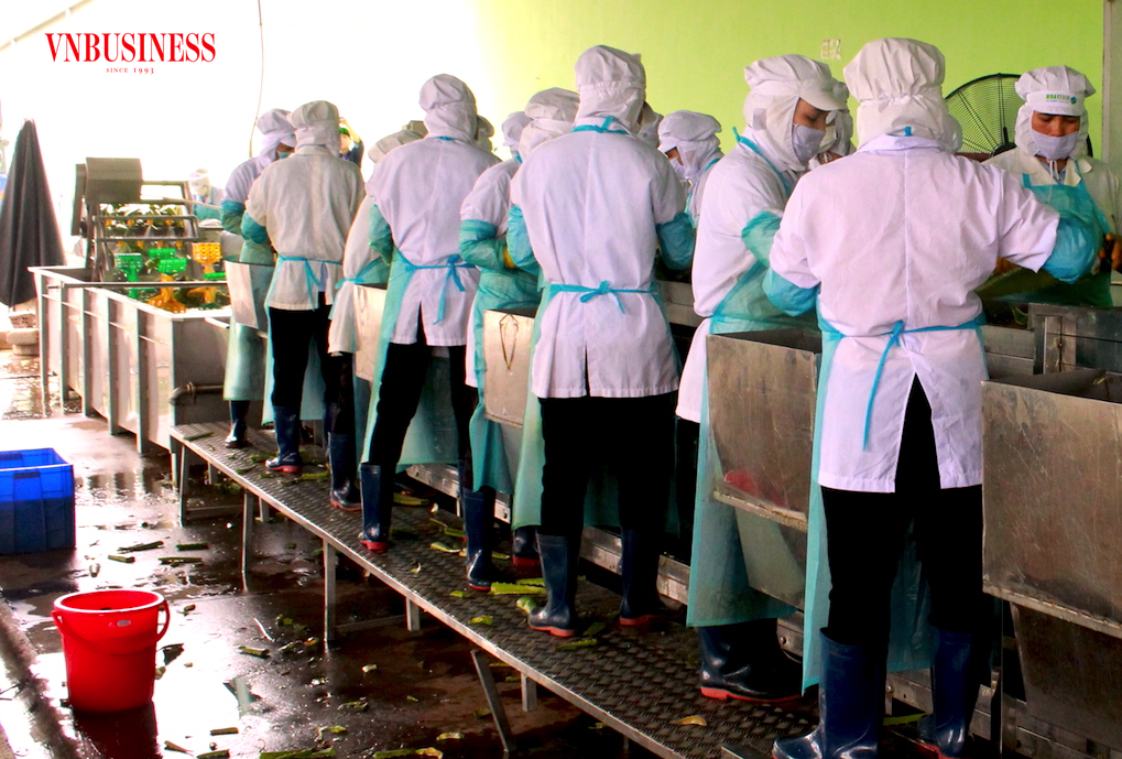 Vướng mắc trong thủ tục hoàn thuế VAT cho DN sản xuất cần được ngành thuế giải quyết nhanh hơn, hợp lý hơn.