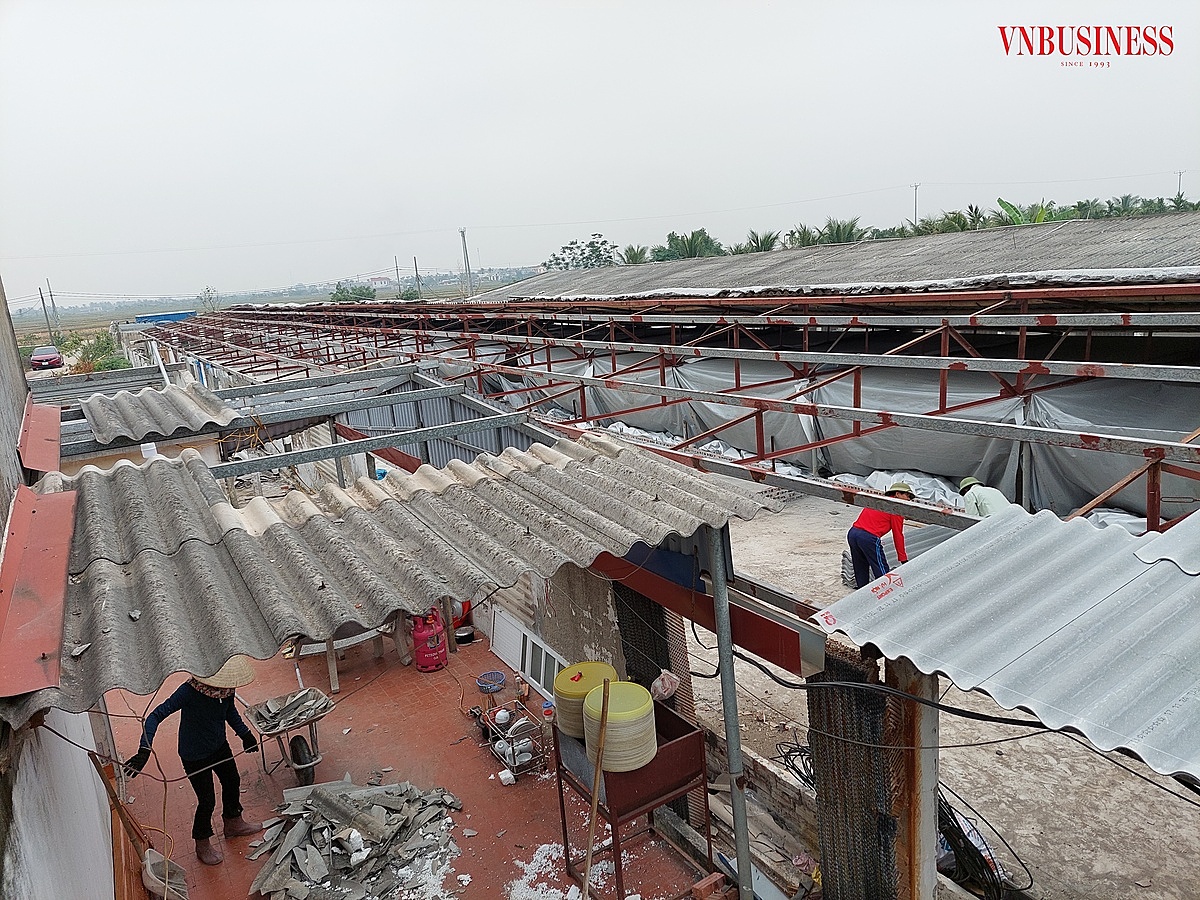 Hầu hết các trang trại chăn nuôi tập trung tại xã Tân Viên hiện nay vẫn đang trong tình trạng khắc phục hậu quả sau bão.