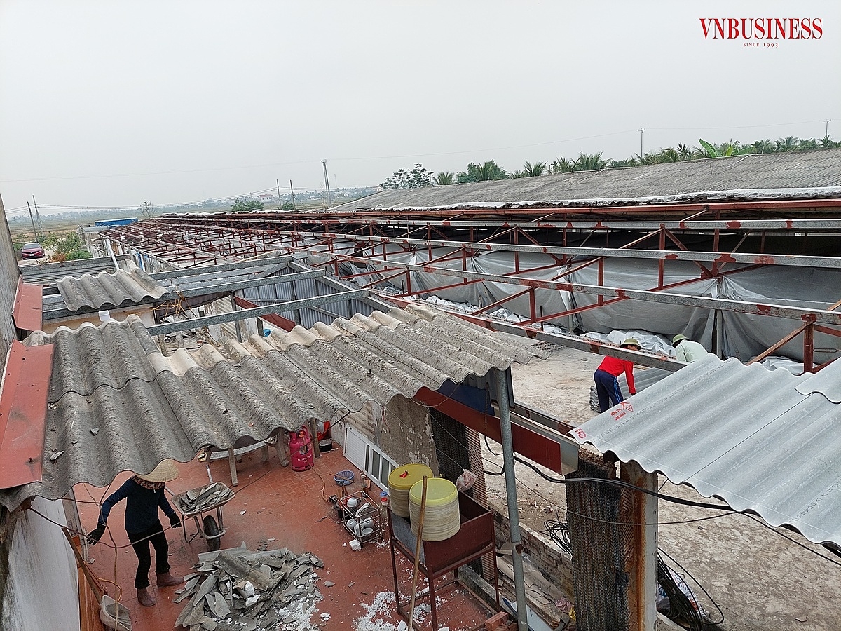 Hầu hết các trang trại chăn nuôi tập trung tại xã Tân Viên hiện nay vẫn đang trong tình trạng khắc phục hậu quả sau bão.