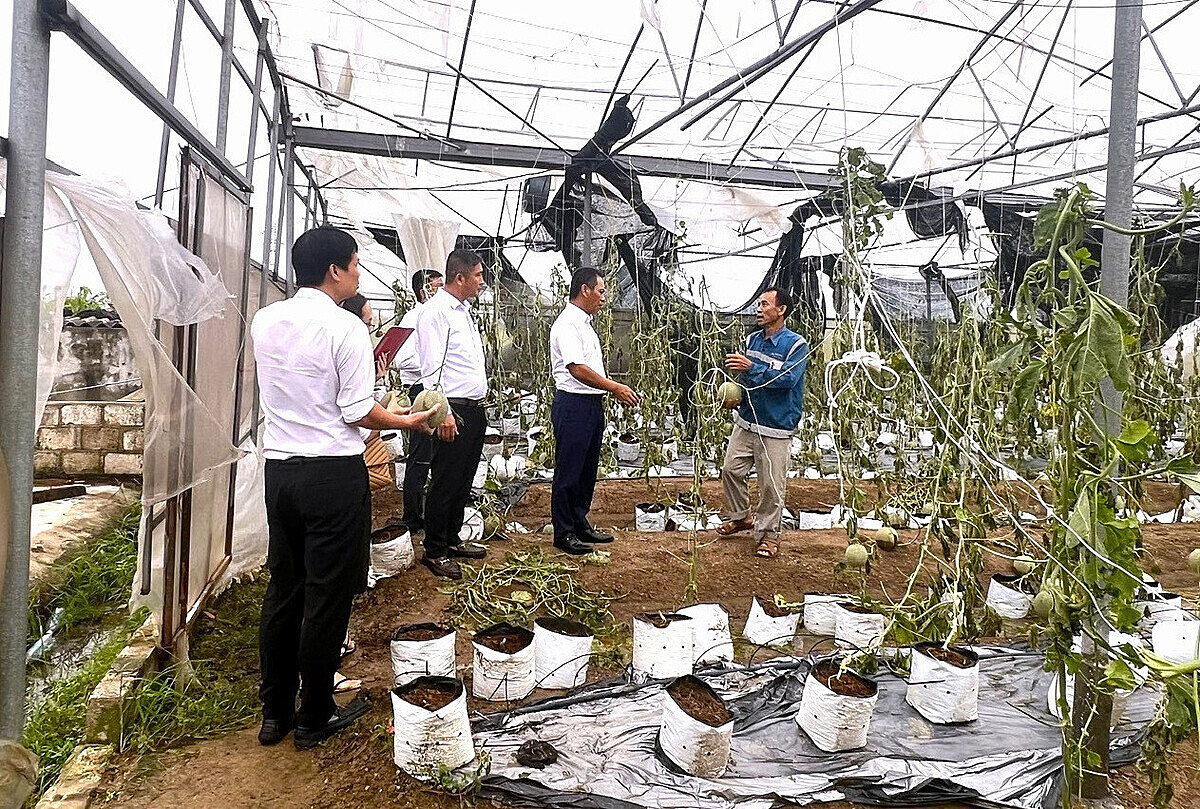 Việc đánh giá, lên kế hoạch chi trả và hoàn thiện hồ sơ chi trả bảo hiểm cần đơn giản để đáp ứng đúng nhu cầu trong thực tiễn.