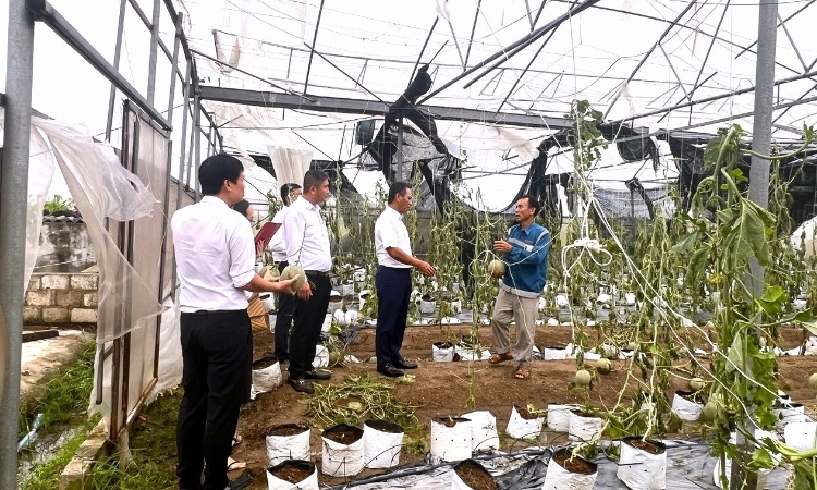 Khoảng trống bảo hiểm nông nghiệp