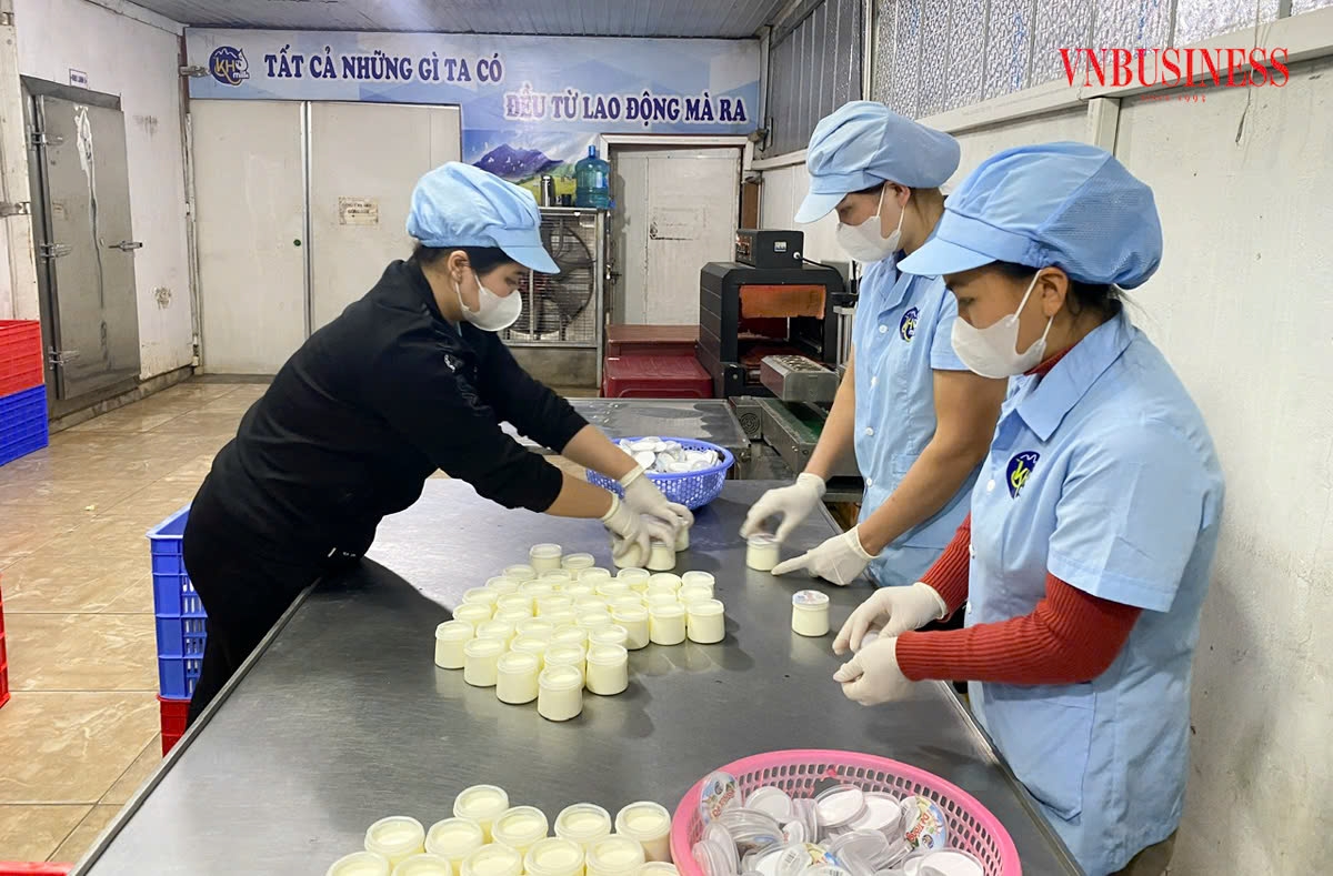 HTX Khánh Phát dù đang rất mạnh khâu chế biến sữa nhưng cần có sự hỗ trợ trong việc ứng dụng thương mại điện tử để mở rộng thị trường tiêu thụ.