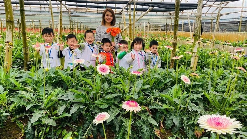 Nhiều du khách, trường học đã tham quan mô hình trồng hoa tại địa phương.