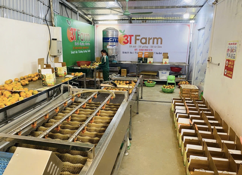 80% đơn hàng của HTX 3T Farm đến từ nền tảng công nghệ.