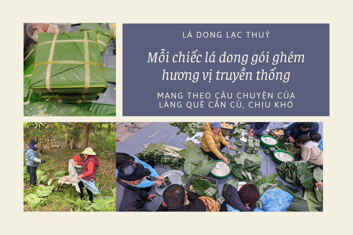 Lá dong đang trở thành niềm tự hào của người dân Lạc Thủy.