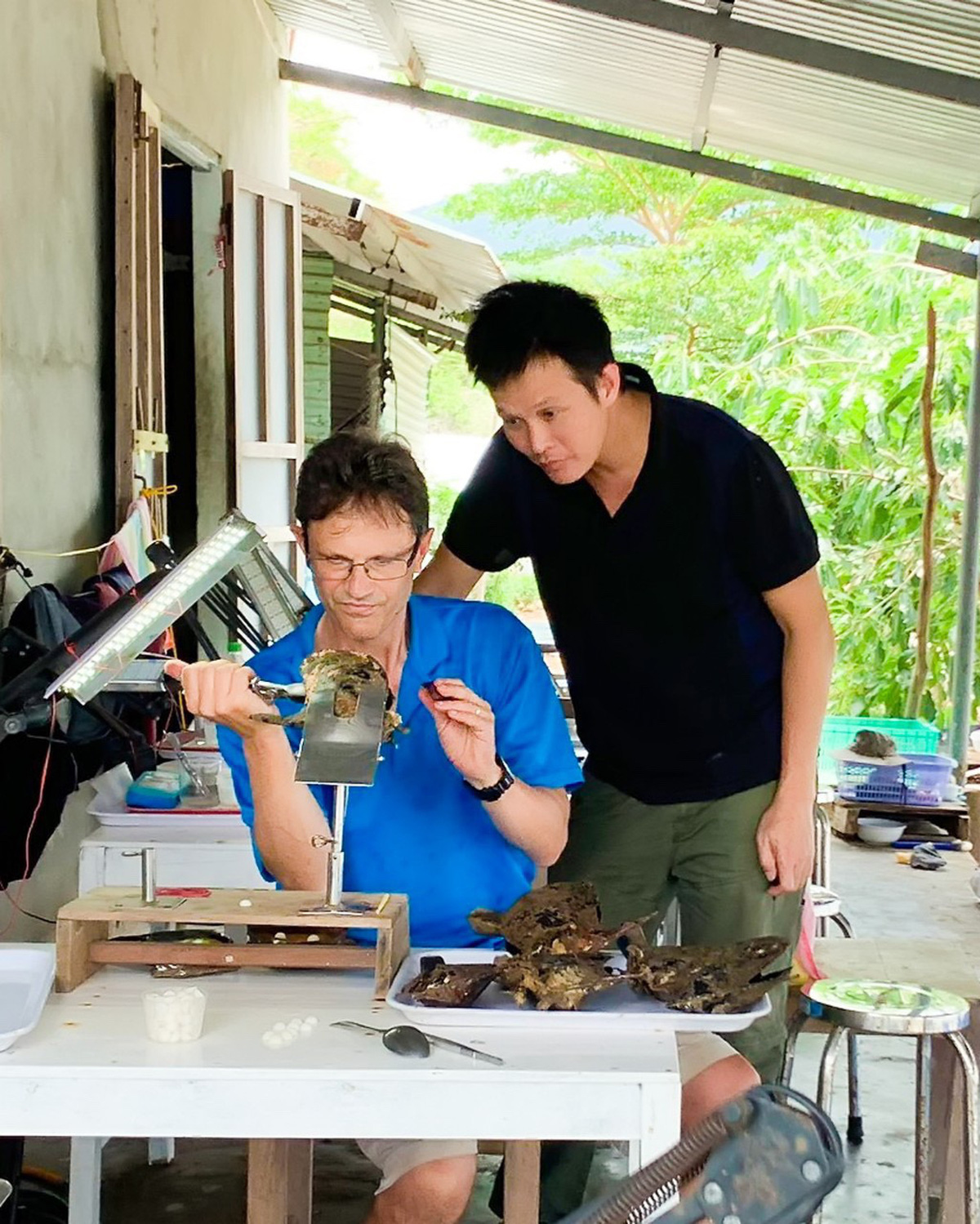 Ông Max Wingfield &lpar;người Úc&rpar; -