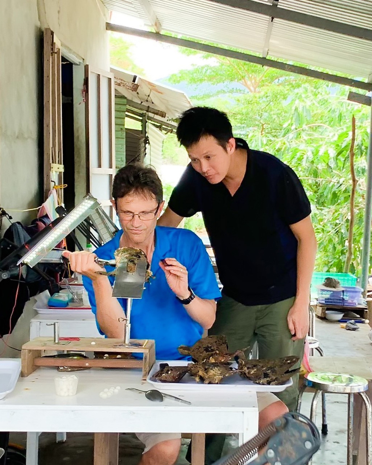 Ông Max Wingfield &lpar;người Úc&rpar; -