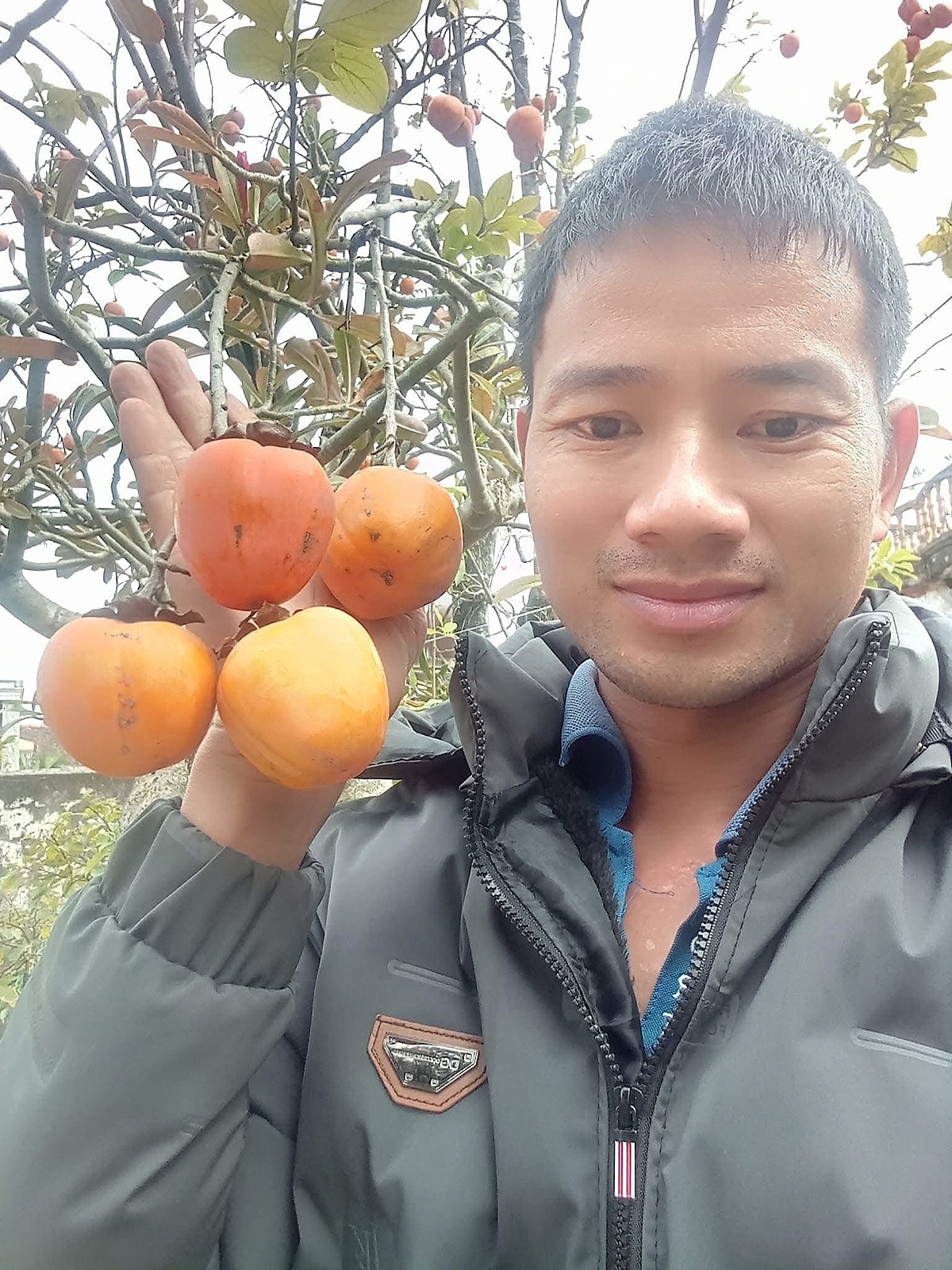 Hồng Hải Hậu được chăm sóc kỹ càng trước khi về tay khách.