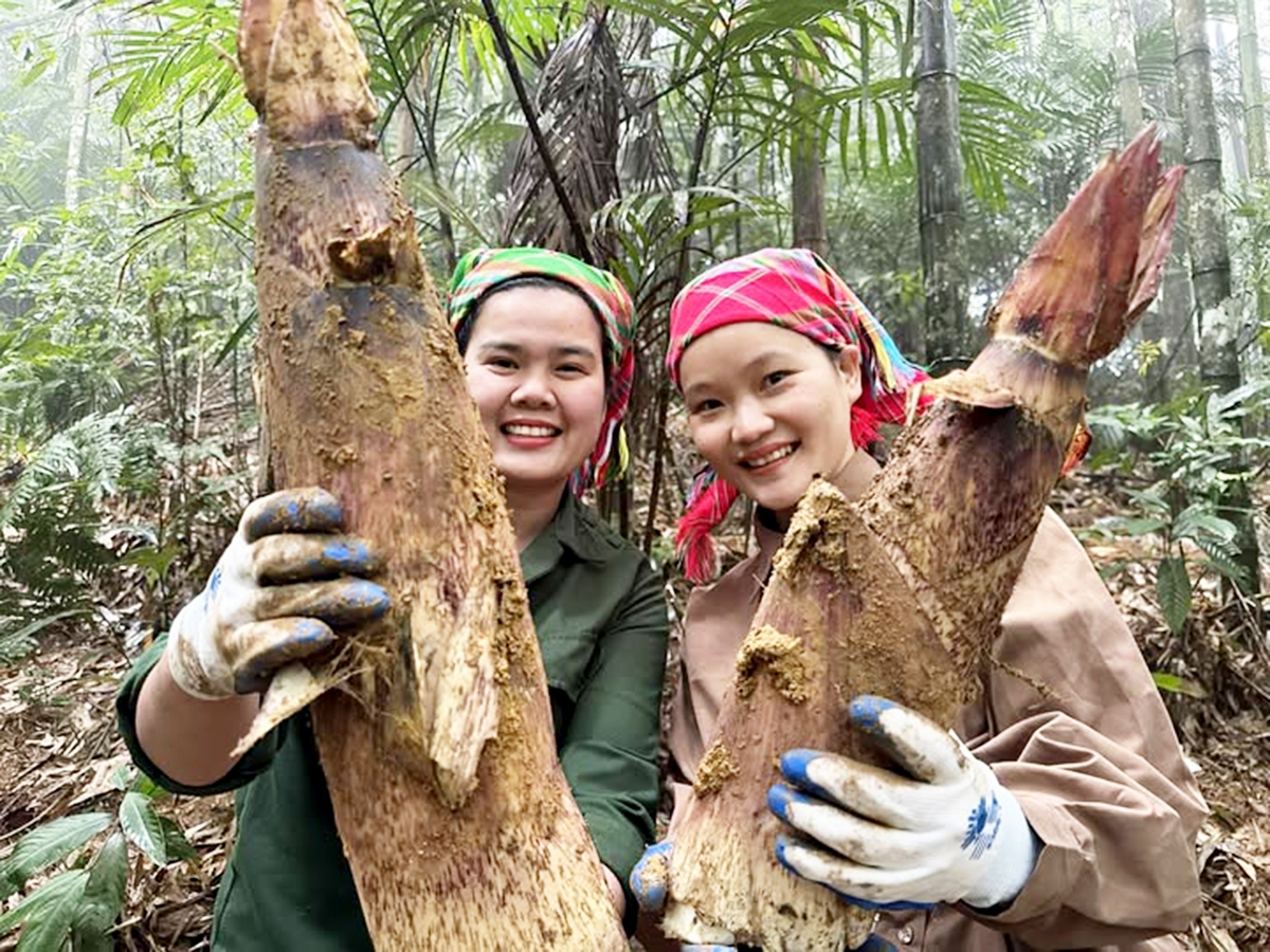 Cô gái 9x đang góp phần đưa nông sản quê hương đi khắp mọi miền tổ quốc, tạo thu nhập cho người dân địa phương.