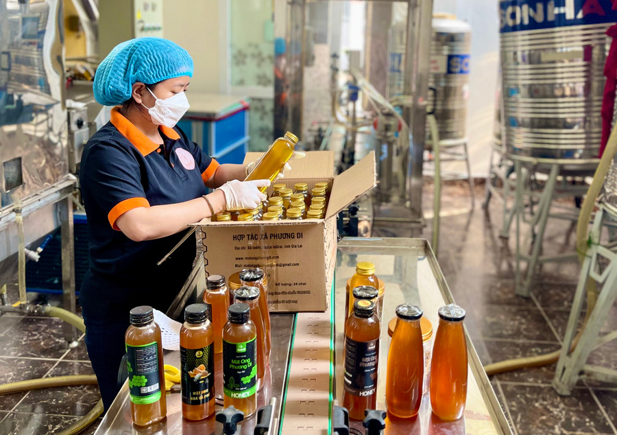 Chuẩn hóa quy trình để có thể truy xuất nguồn gốc sản phẩm là cách tốt nhất trong xuất khẩu mật ong.
