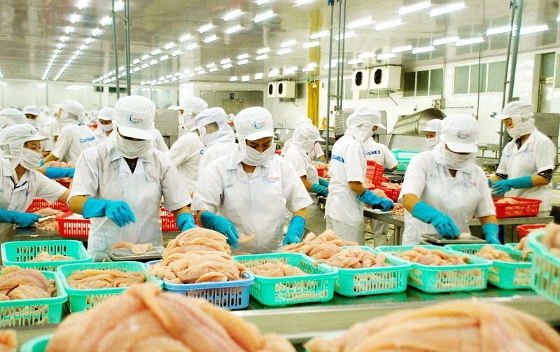 Năm 2024, ngành thủy sản Việt Nam đã đạt được thành tích ấn tượng với giá trị xuất khẩu 10 tỉ USD, tăng 12,7% so với năm 2023.
