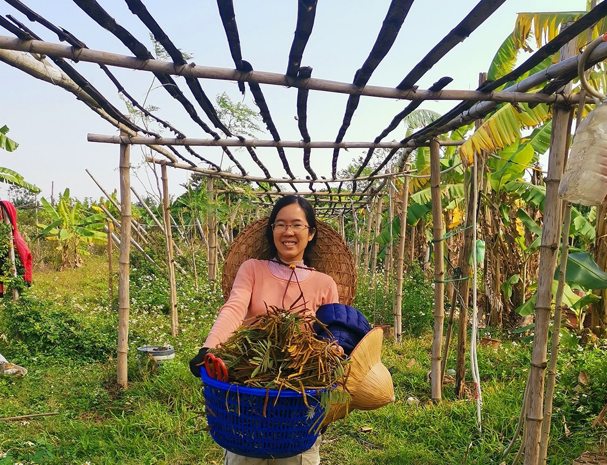 Bỏ phố về vườn, Khánh Duyên khao khát được sống trong không gian xanh của làng quê một lần nữa.