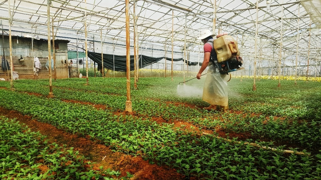 Kinh doanh, sử dụng thuốc bảo vệ thực vật phải tuân thủ đúng quy định.
