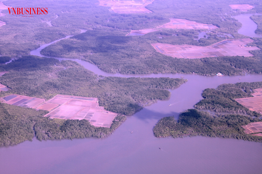 Vùng rừng Sác Nhơn Trạch từng được mệnh danh là “pháo đài tự nhiên” nhờ địa hình rừng ngập mặn trùng điệp.