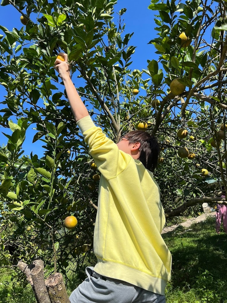 Hiện nay, người dân