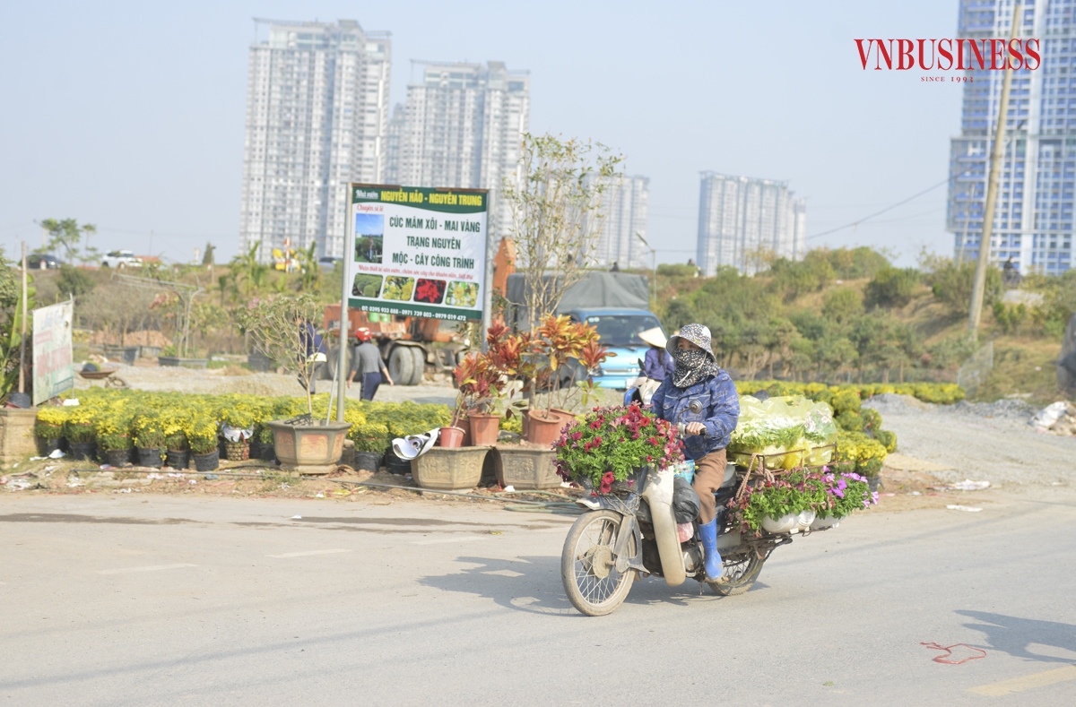 Làng hoa Xuân Quan &lpar;huyện Văn Giang, tỉnh Hưng Yên&rpar; là địa phương vốn được nhiều người biết đến bởi nghề trồng hoa cây cảnh, nổi tiếng từ nhiều năm nay. Hoa, cây cảnh ở đây đa dạng về chủng loại, từ trồng trong nước đến nhập khẩu từ nước ngoài.