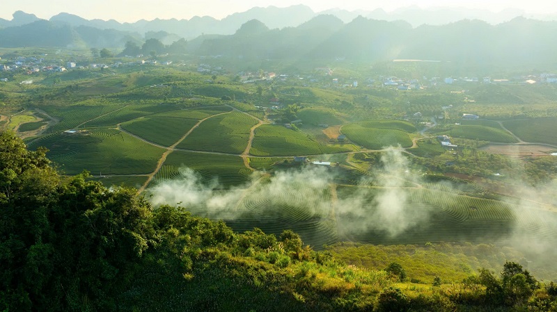 Một góc cao nguyên xanh Mộc Châu