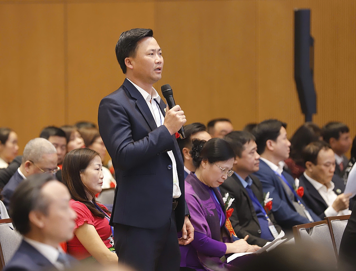 Giám đốc HTX Tam Đảo mong muốn có chính sách phát triển vùng nguyên liệu tập trung.