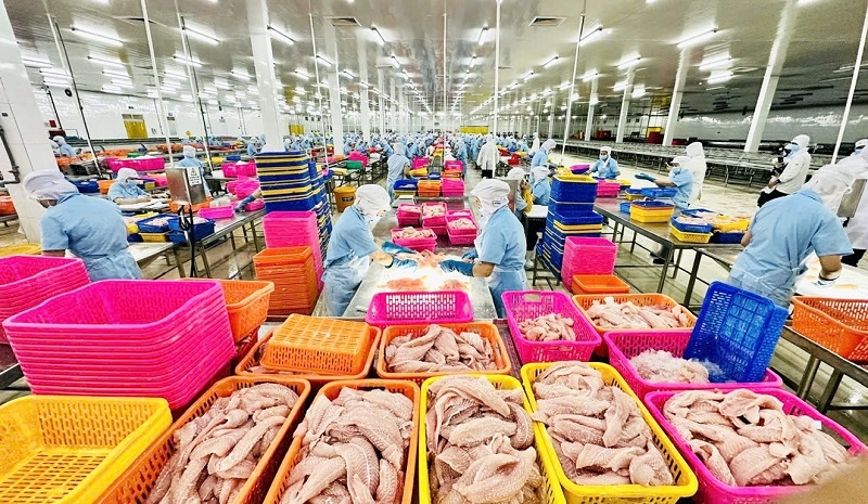 Ngành thủy sản Việt Nam hướng tới mốc 11 tỷ USD trong năm 2025.