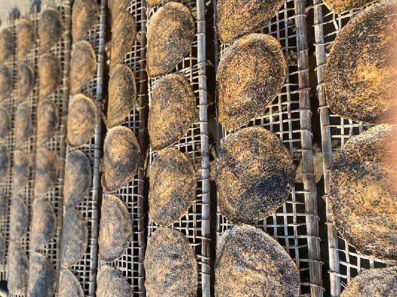 Bánh sau khi tráng được mang phơi dưới trời nắng từ 4 - 6 giờ đồng hồ.