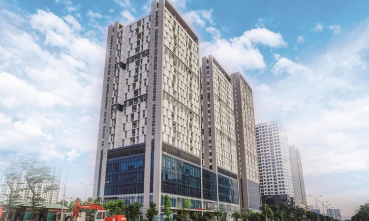 Vợ Chủ tịch Taseco Land nâng sở hữu vốn tại doanh nghiệp lên 4,62%