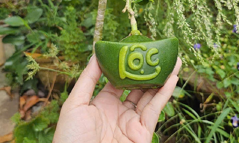 Với trọng lượng chỉ 100-200 gram, mỗi trái bưởi mini thỏi vàng được khắc chữ Tài Lộc trên vỏ, hút khách nhờ hình dáng độc đáo.