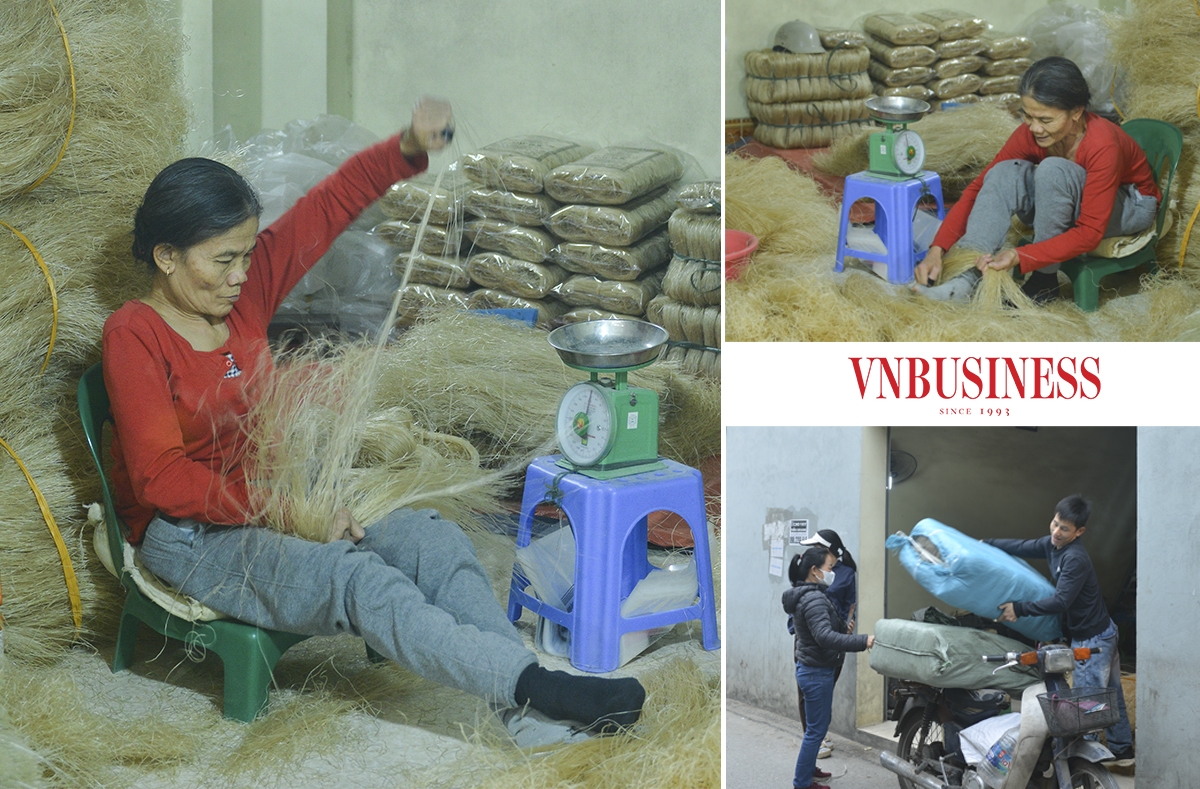 Sợi miến sau khi được phơi khô sẽ tập kết và cuộn thành những bó nhỏ, đóng gói và giao cho các thương lái vận chuyển đến tay người tiêu dùng.