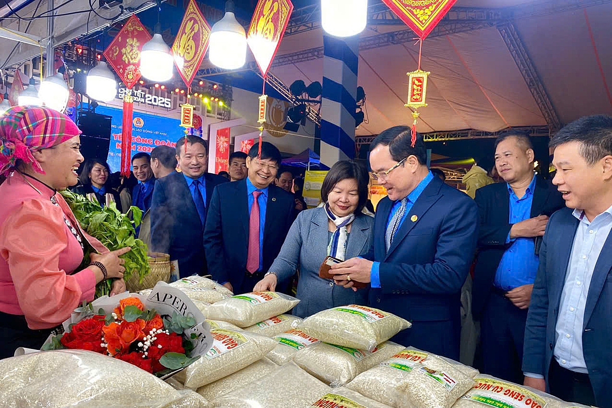 Lãnh đạo Liên minh HTX Việt Nam và các tỉnh, thành tham quan các gian hàng trưng bày sản phẩm tiêu biểu của các HTX tại Hải Phòng.