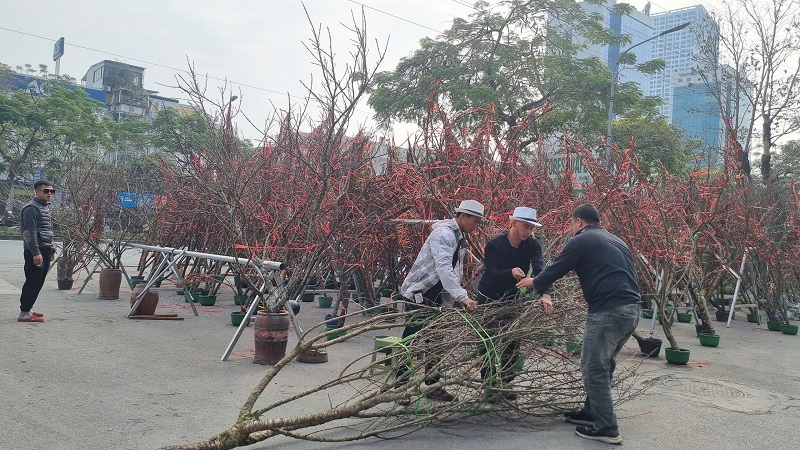 Thi thoảng đã có một số khách hàng chọn mua...