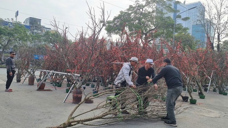 Thi thoảng đã có một số khách hàng chọn mua...