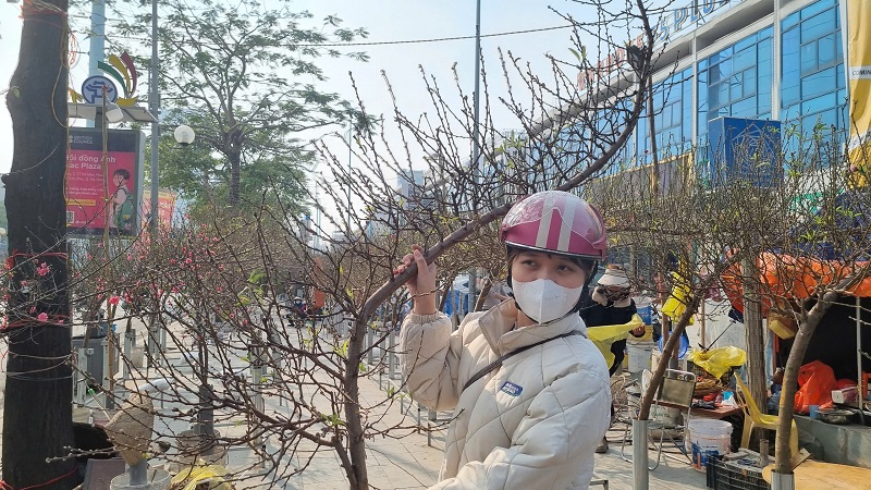 Một khách hàng ưng ý khi chọn được cành đào huyền nhiều nụ với giá 1,5 triệu đồng/cành.
