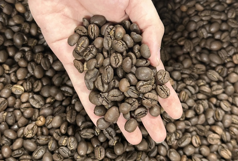 Giá cà phê tăng trung bình 500 đồng/kg.