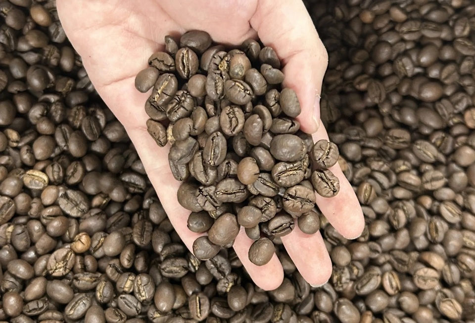 Giá cà phê tăng trung bình 500 đồng/kg.