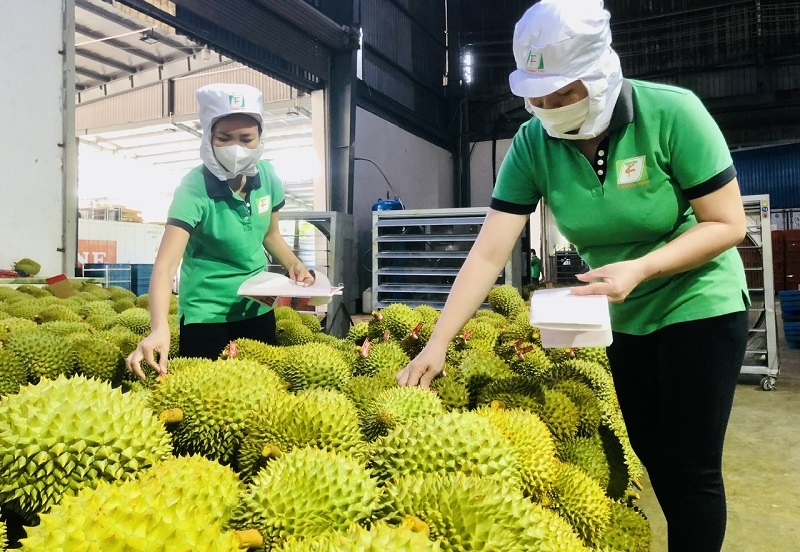 Theo thống kê, gần 80% nông sản của Việt Nam ra thị trường chưa có thương hiệu, logo, nhãn mác.