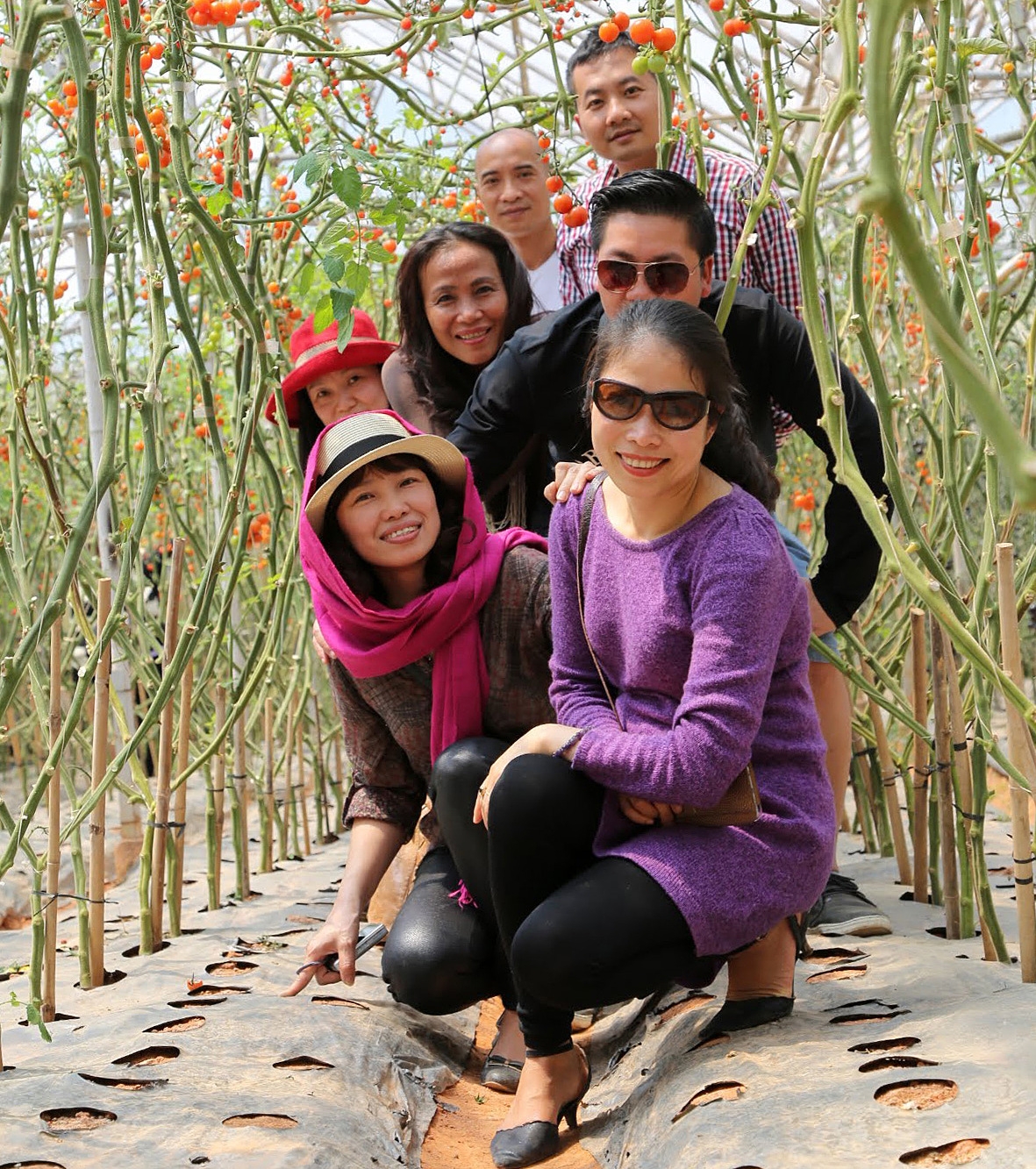 Du lịch nông nghiệp cần cơ sở vững chắc để phát triển bền vững.